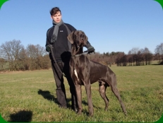 Alex von Betz'ens Meute - Besitzer: A. Betz